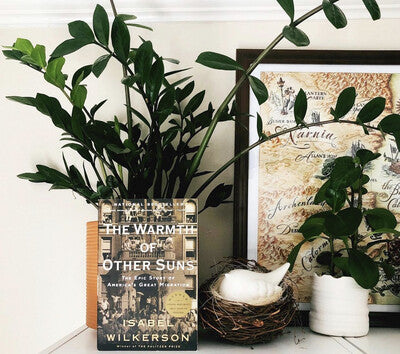 The Warmth of Other Suns by Isabel Wilkerson