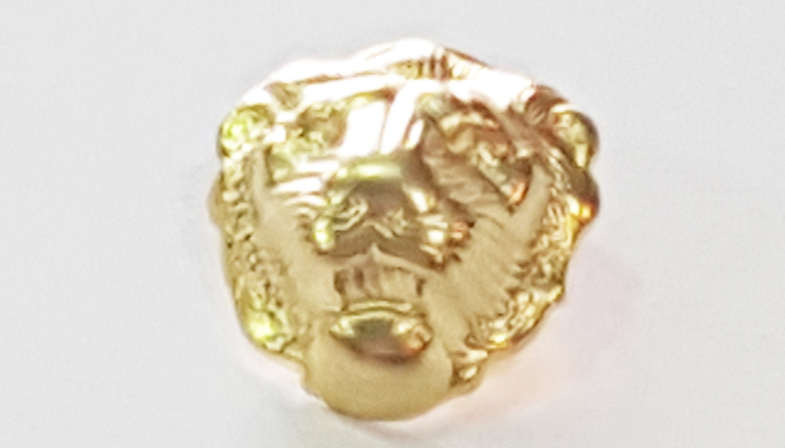 Lion Head Pin