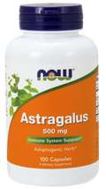 Astragalus 500 mg