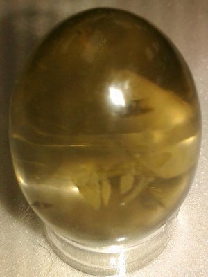 Smokey Quartz Egg (Small)