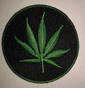 Herb Plant